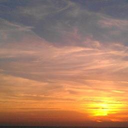 PhinsFan14's profile picture. 