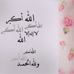 أؤمن إن النجاح لا يأتي من فراغ .. وبطموحي وإصراري والهمه ساحقق حلمي بإذن الله