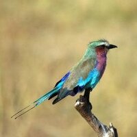 Pierre de Villiers (@pierredivvy) 's Twitter Profile Photo Pierre de Villiers (@pierredivvy) 's Twitter Profile Photo
