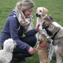 Dog Holiday and Day Care provider