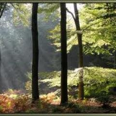 Hier wordt van alles wat (VAW) getweet, Liefdeszinnen tot lovepictures