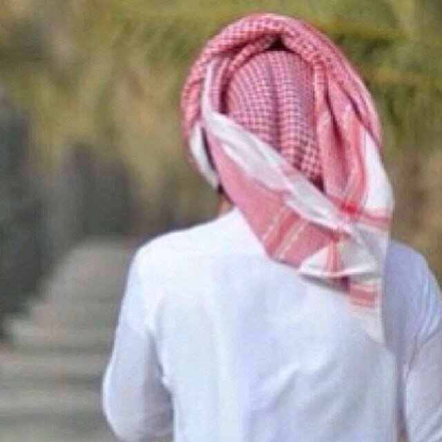 احب الشعر الاصيل والجزل
بدوي واعشق النوق