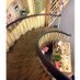 the Whitby bookshop (@whitbybookshop) Twitter profile photo