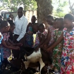 An American and African not-for-profit organization improving health and self-reliance for disadvantaged peoples in rural Kenya, Uganda, and Tanzania.