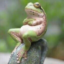 vh346's profile picture. 