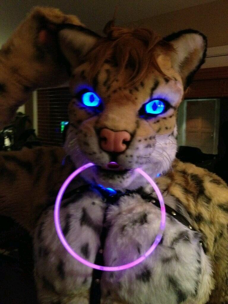 I don't bite I nibble with a passion