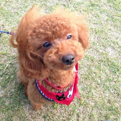 アイライロ