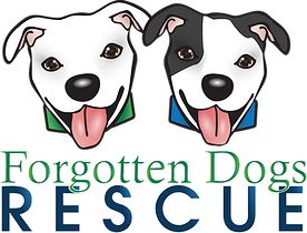 Forgotten Dogs Rescue saves the dogs that need help the most, the dogs whose time has run out, the dogs who have lost all hope—the forgotten dogs.