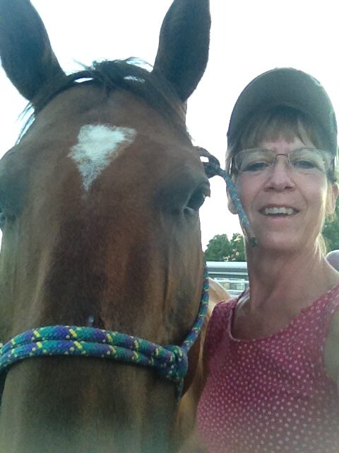 professional quilter,  horse crazy