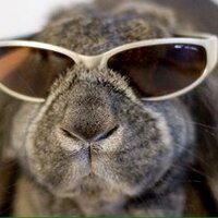 Roger Duckitt (@lymergreene) 's Twitter Profile