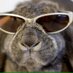 Roger Duckitt (@lymergreene) Twitter profile photo