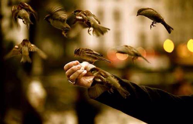 ... المتفائل يرى ضوءً غير موجود ، و المتشائم يرى ضوءً ولا يصدقه...🕊 ماجستير أمن سيبراني