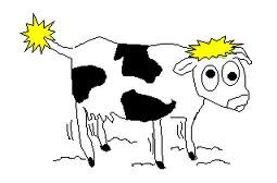 All about beef jerky! Follow me back, or I'll turn into a mad cow:D..I follow back 100% if your from the states! And unfollow accordingly.DM only if you follow.