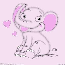 msbsixteen's profile picture. 