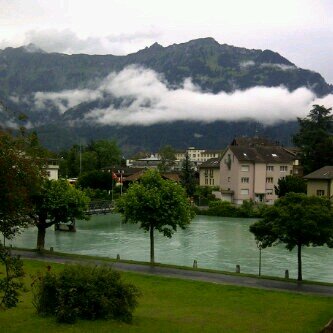 yassaer55555's profile picture. 