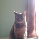 Debora Rocio - @DebbieRock - Twitter