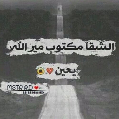 سولي.فولو.وابشر.بفولو_بااك