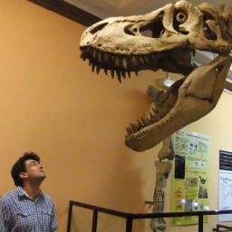 Science enthusiast in Warsaw, Poland with a particular penchant for palaeontology (as well as accidental alliteration)