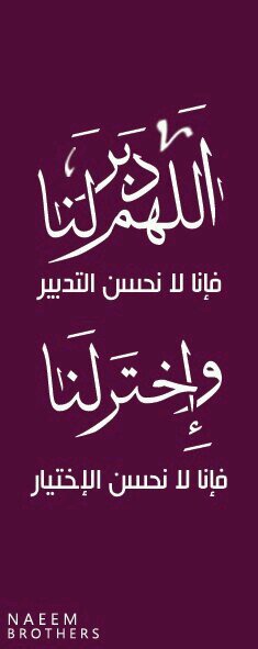 meraelgindy's profile picture. 