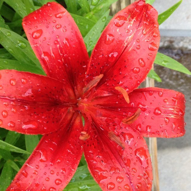 kt5298's profile picture. 