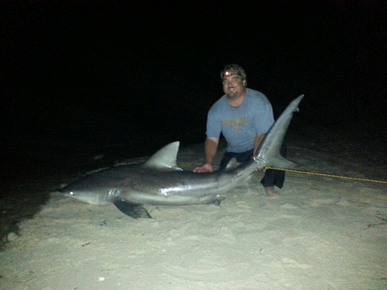 pkpieplow00's profile picture. 