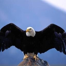 A True All American Conservative. 
 It is impossible to rightly govern a nation without God and the Bible. - George Washington