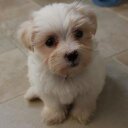 David Mok - @DavidMok4X - Twitter