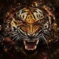 North Bend Central (@northbendtigers) 's Twitter Profile