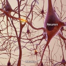 CecilyKeim's profile picture. Putting the Lady back in Cat Lady