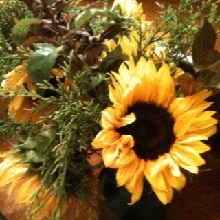 kdemmerle's profile picture. you’re not broken, you’re becoming