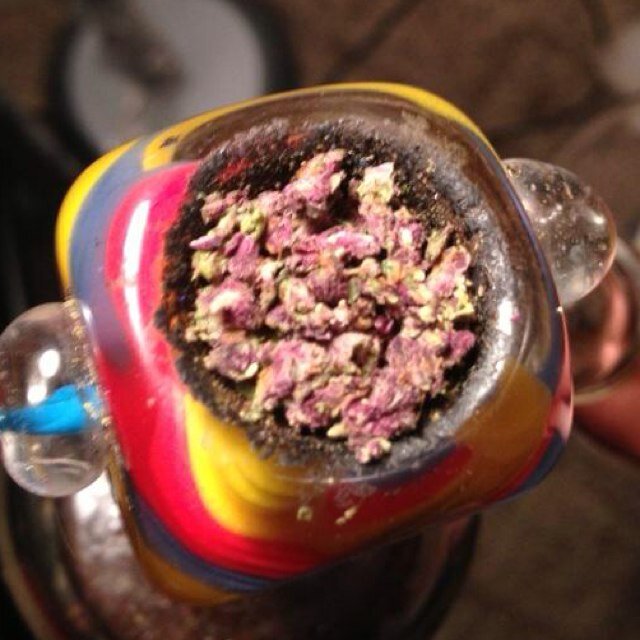 im the King of Clichés, homie. Heads up too, this shit could get inspirational #TSM #TotalStonerMove