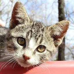 ChapmanCounty's profile picture. Texas Momma with a crew of 7 and a wonderful Hubby!