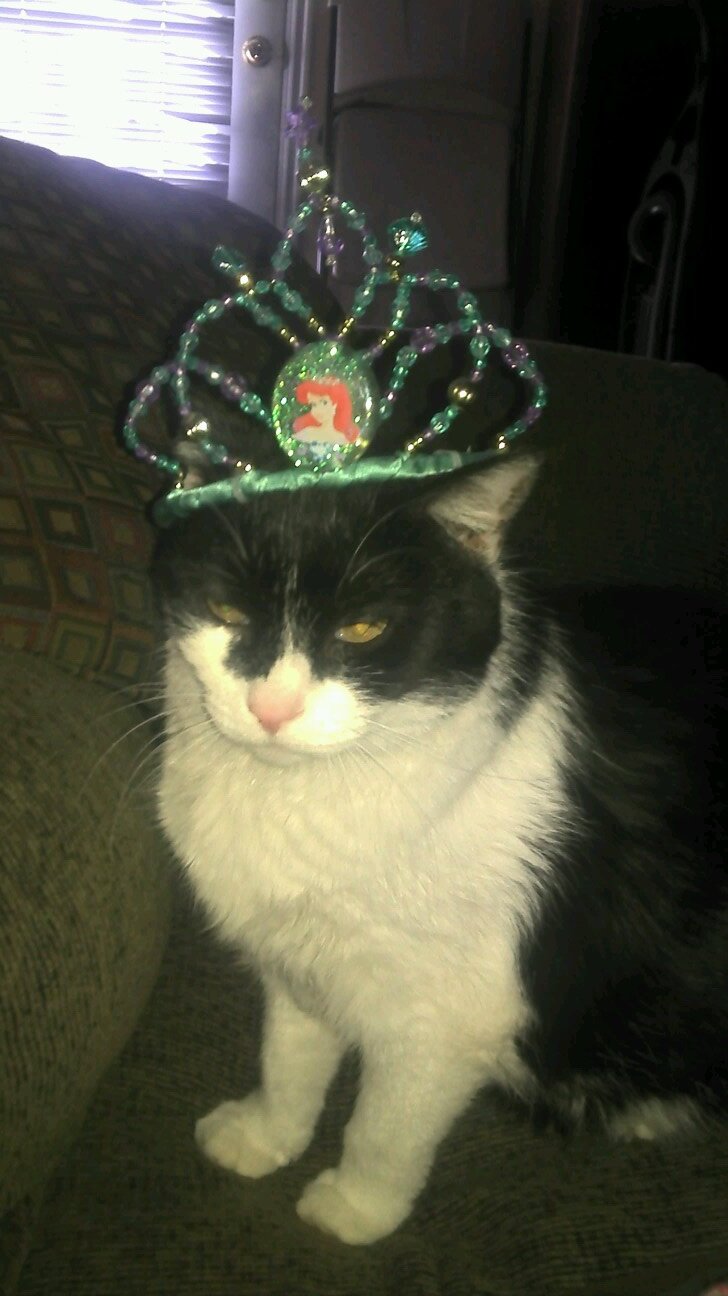 teez2424's profile picture. 