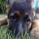 walter figueroa - @walter04_rey - Twitter