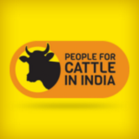 People For Cattle In India (PFCI) (@pfcii) 's Twitter Profile