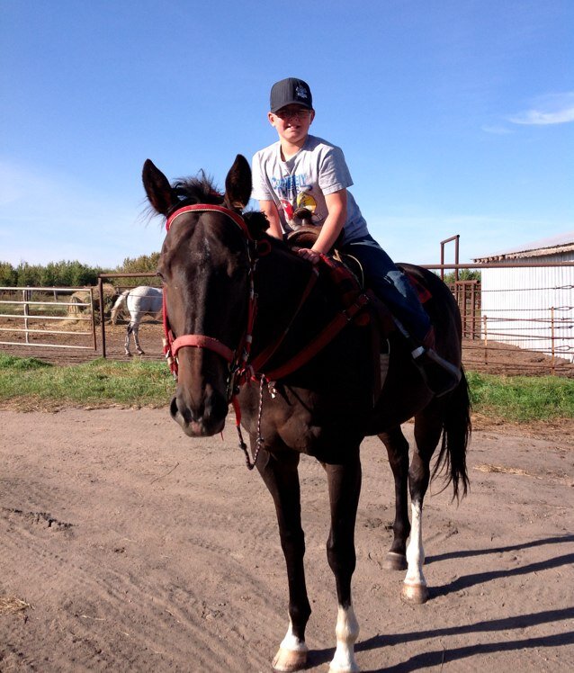 Horses are the life