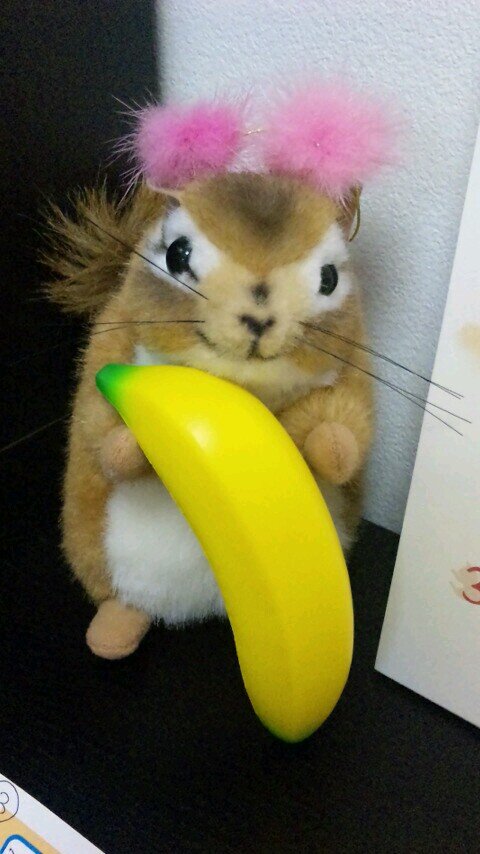 musako555's profile picture. ネコが大好き😻　阪神タイガースをゆるーく、気長に応援中⚾　
🇯🇵ツイッターは、いまだに初心者です、失礼ありましたらご容赦ください。
50過ぎのオバさんです、加齢と闘うぞ！
よろしくお願いいたします。