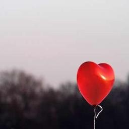 No matter the situation, never let your emotions overpower your intelligence.