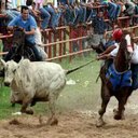 Cesar Jordan - @cesarqj0329 - Twitter