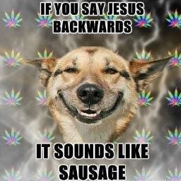 Humor Funny Laugh Comedy Hilarious