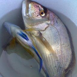 PASION POR LA PESCA DE ROCA Y PLAYA Y ,ME GUSTA VIVIR AL LIMITE