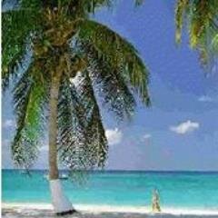 IT / Finance / News account / Following Only.
