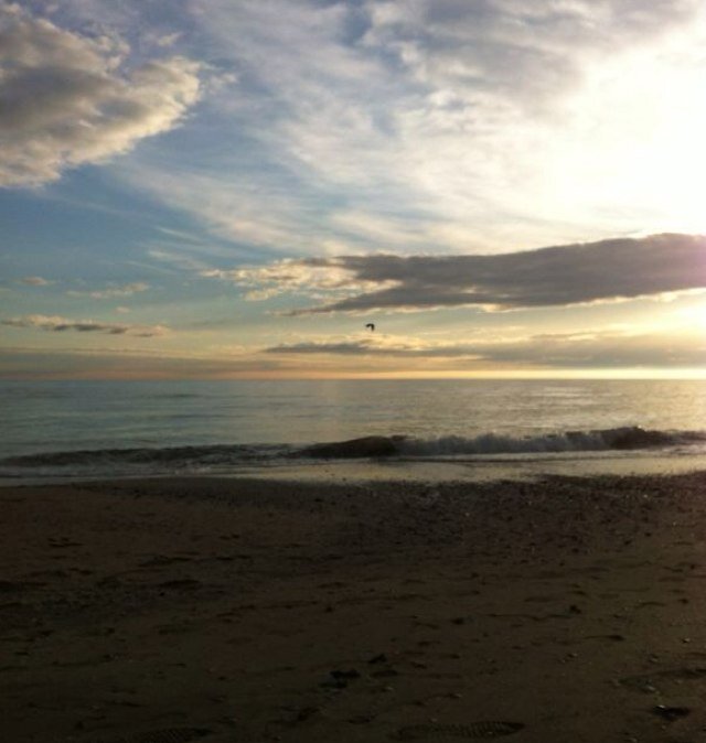 EremitaggioF's profile picture. 