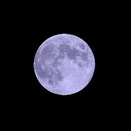 身の回りでちょっと気に成る事をつぶやきます