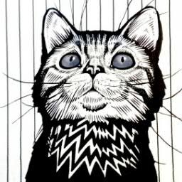 Independent columnist
