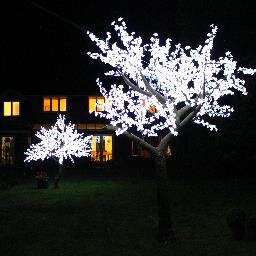 Sumptuous night-time blossom.  Alluring and unbelievably striking, these beautiful LED trees create an amazing background for any event * Available to hire *