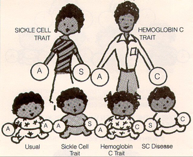 SCAwareness's profile picture. SCAwareness is an upcoming charity with aims to help, educate, support and raise awareness about Sickle cell. 
Email us sicklecellawareness13@gmail.com