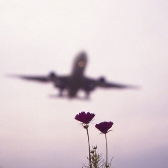 -صنم.