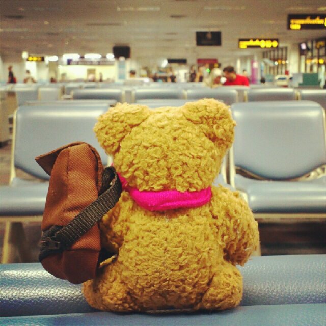LieshaBear Profile Picture