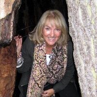 Claire Mee (@clairemeeldn) 's Twitter Profile Photo Claire Mee (@clairemeeldn) 's Twitter Profile Photo